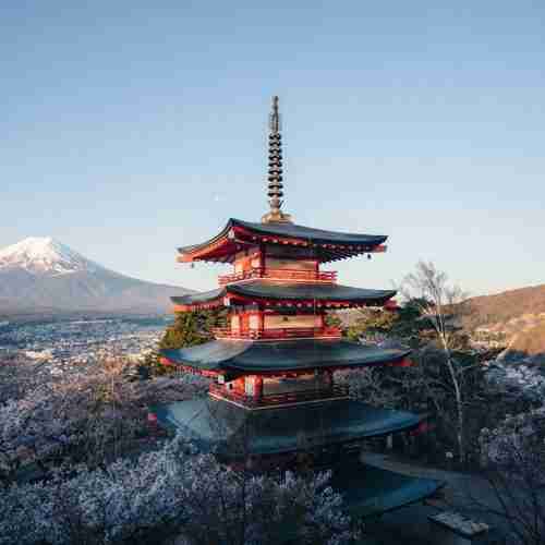 Kyoto Temples & Geisha Culture Journey